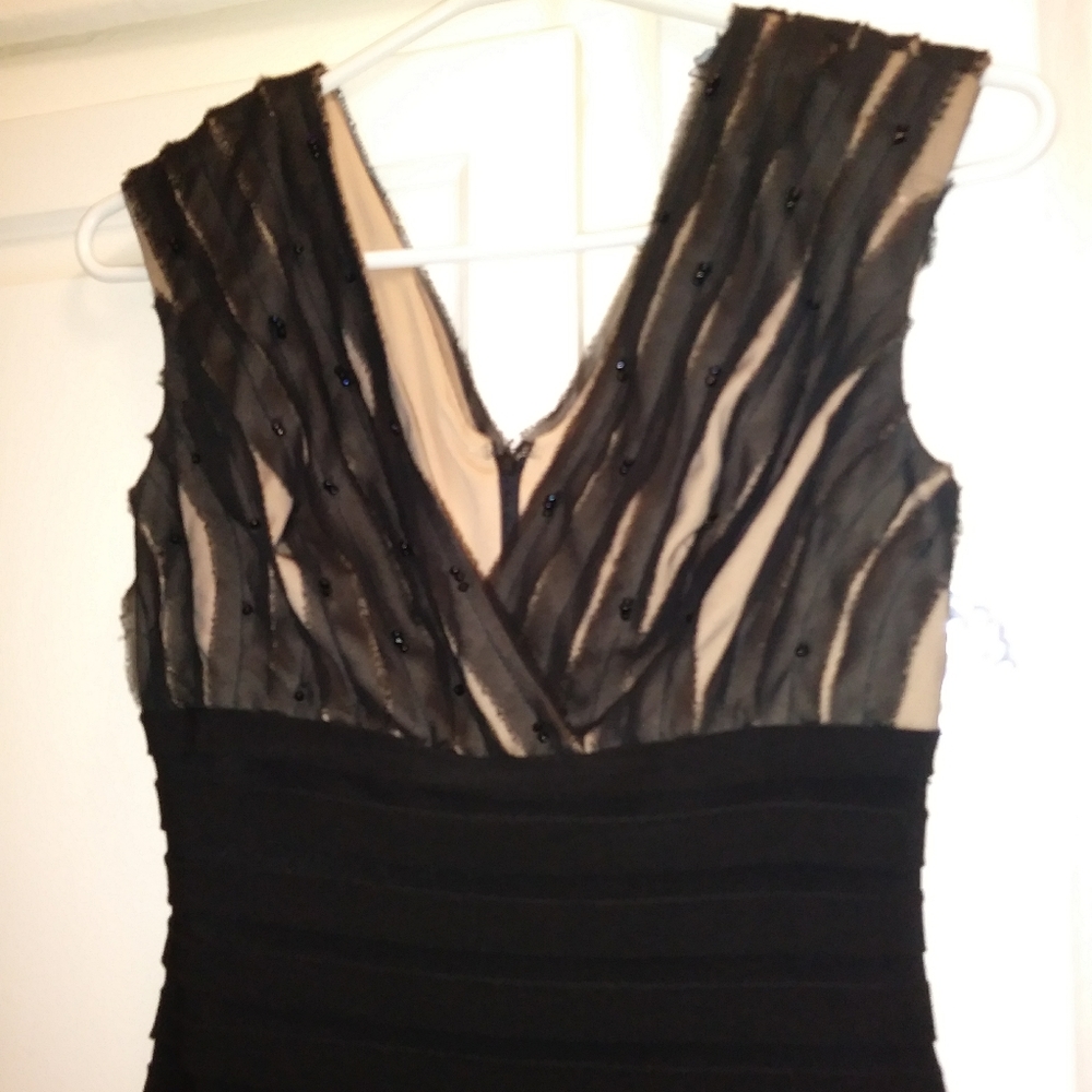 Adrianna Papell dress